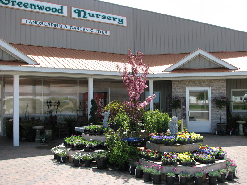 storefront of Greenwood Nursery in Marshall Minnesota