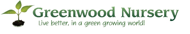 greenwood nursery